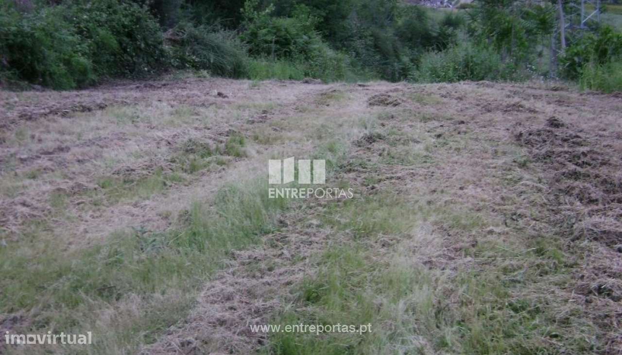Venda Terreno, Freixo de Baixo, Amarante - Grande imagem: 5/9