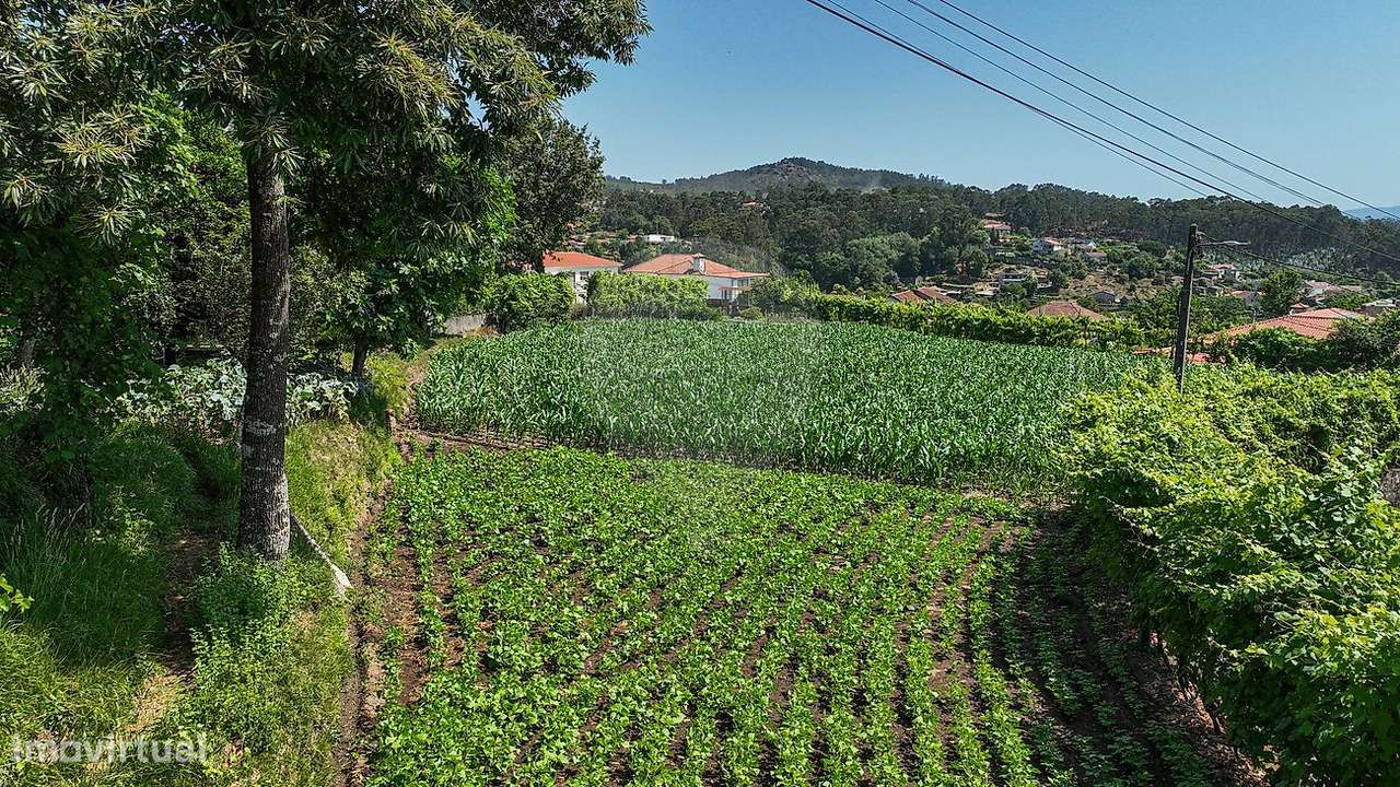 Terreno  para venda-19