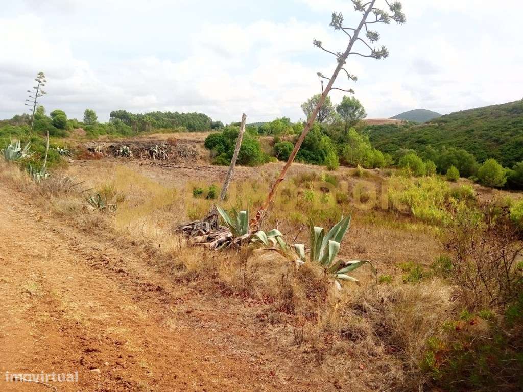 Terreno rústico em Abrigada - Grande imagem: 5/8