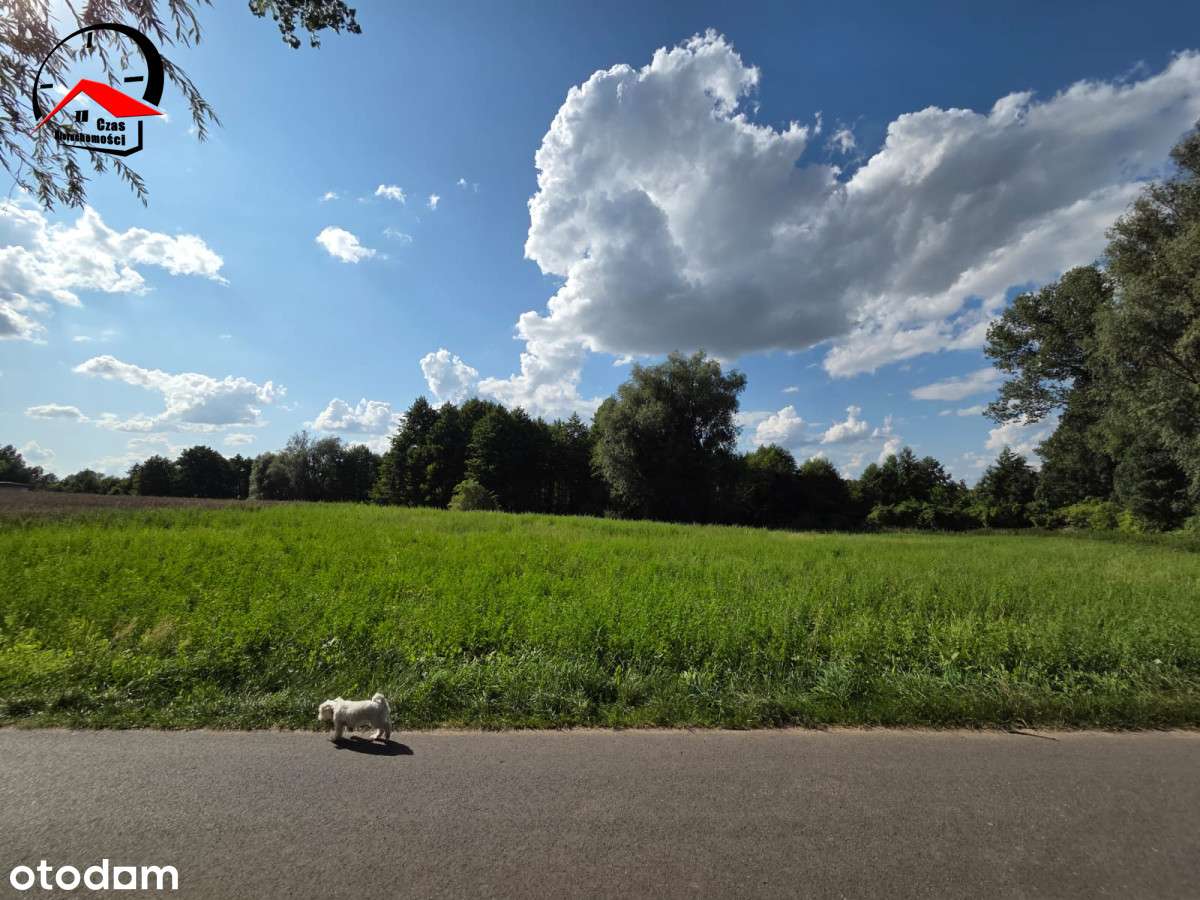 Działka rekreacyjna w Miłachówku 2 linia brzegowa - Pełny obrazek: 5/10