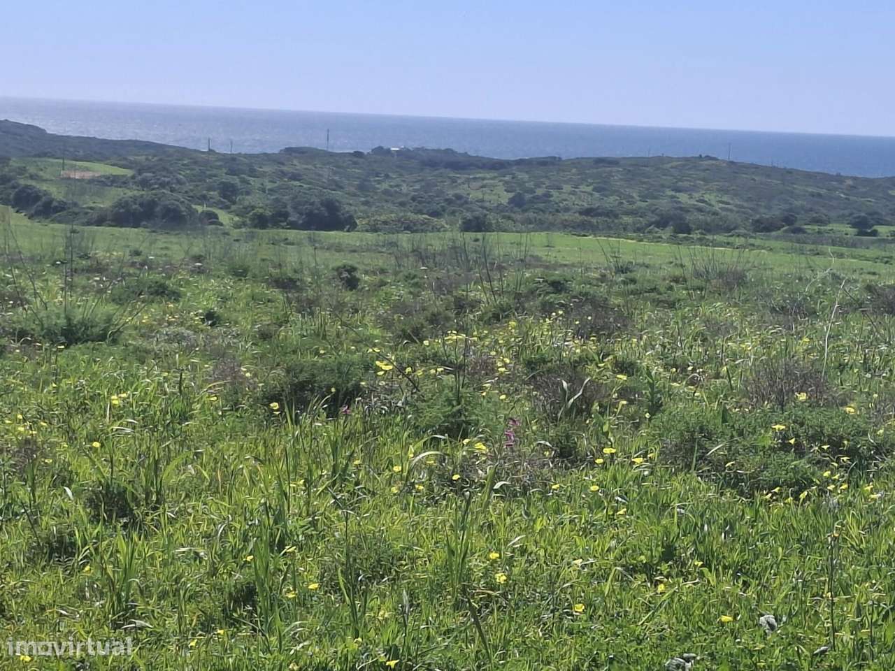 Terrenos Rústicos confinantes nas Hortas de Tabual - Grande imagem: 4/19