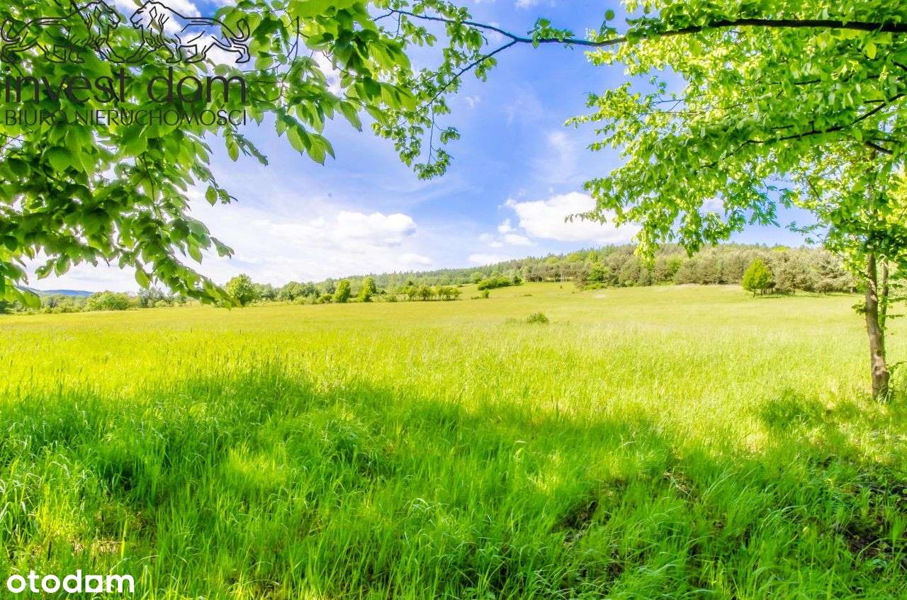 Zaszyj się w Beskidach: Twój wymarzony kawałek zie - Pełny obrazek: 4/14