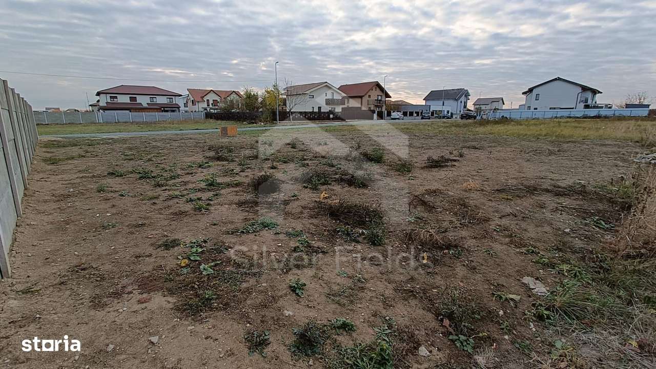 Teren Dumbrăvița cu front generos 24 ml - Imagine principală: 4/6