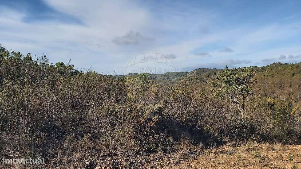 Terreno  para venda - Grande imagem: 5/6