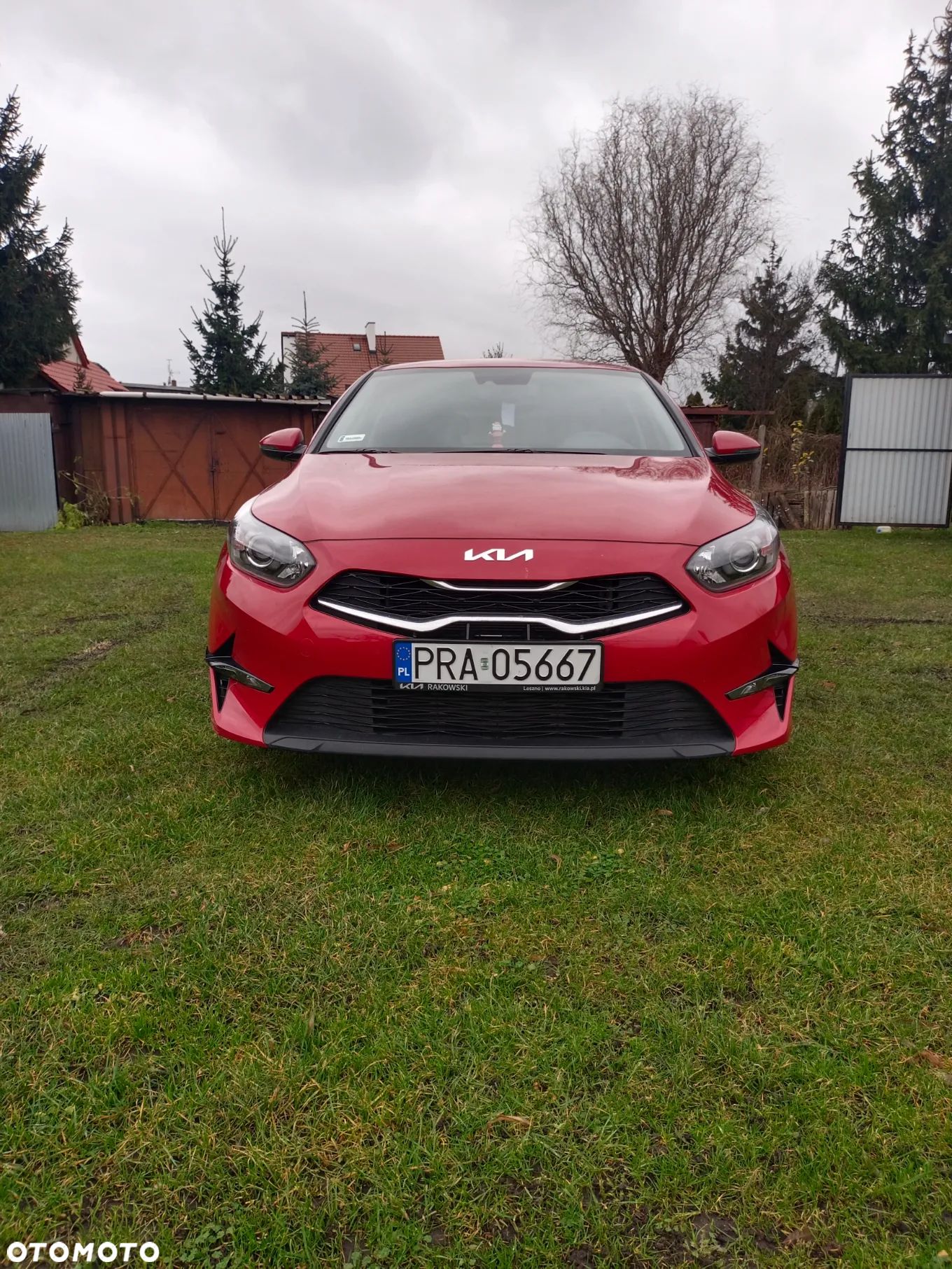 Kia Ceed - 1