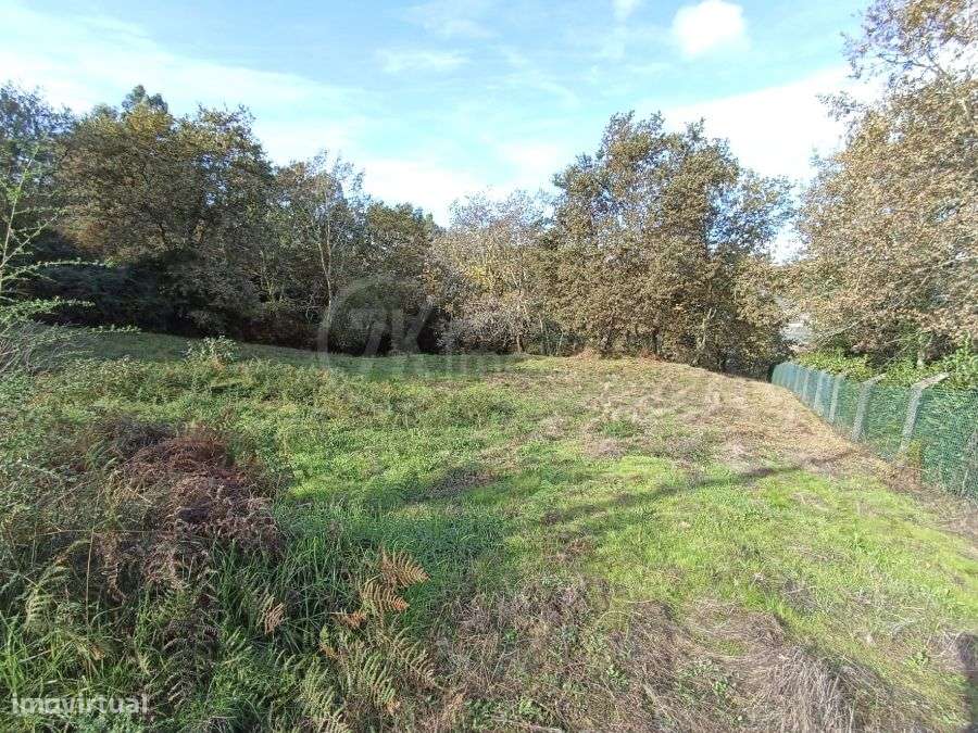 Terreno sito na Légua-11