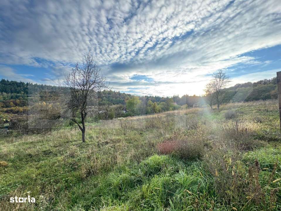 Teren intravila, 1466mp in comuna Bejan - Imagine principală: 2/4