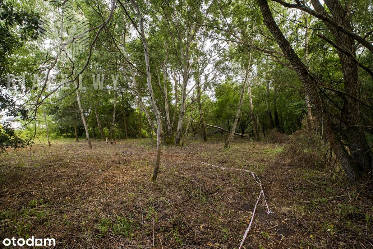 Działka pod dom Wilcza Góra - Pełny obrazek: 3/17