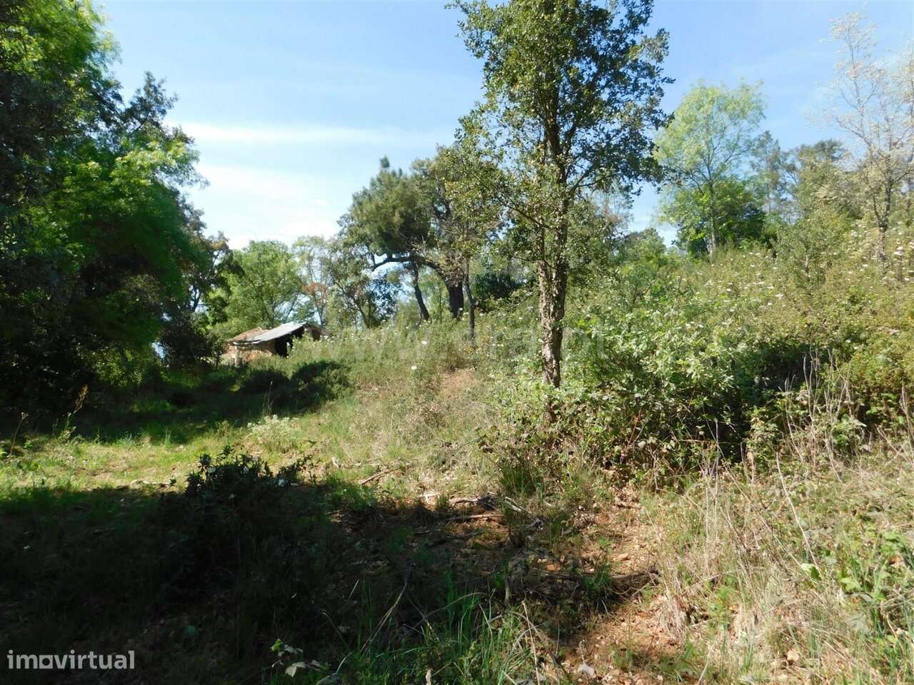 Terreno Rústico / Fundão, Fatela-17