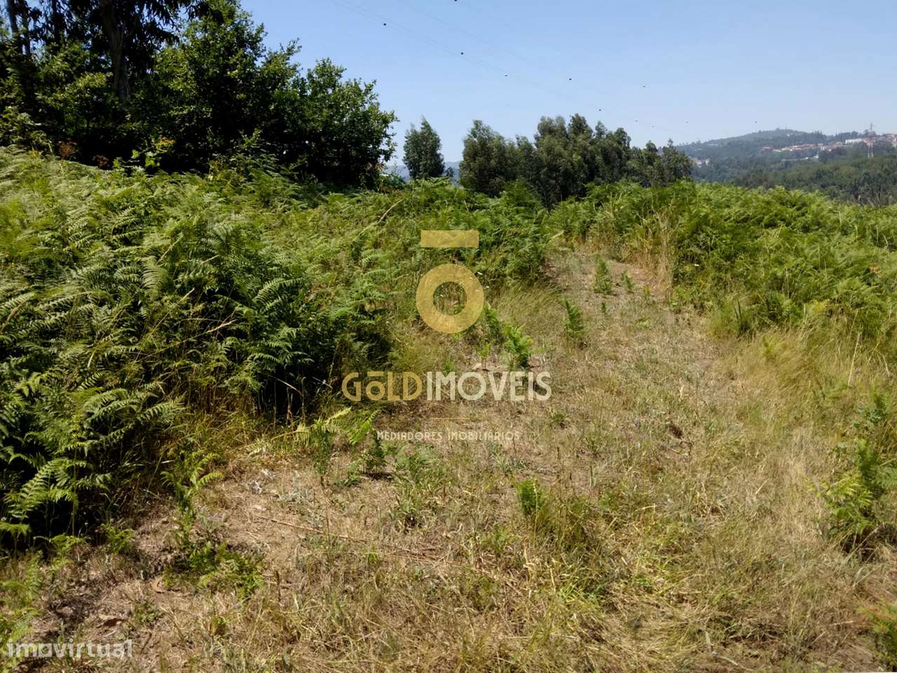 Terreno Rústico - Grande imagem: 4/9