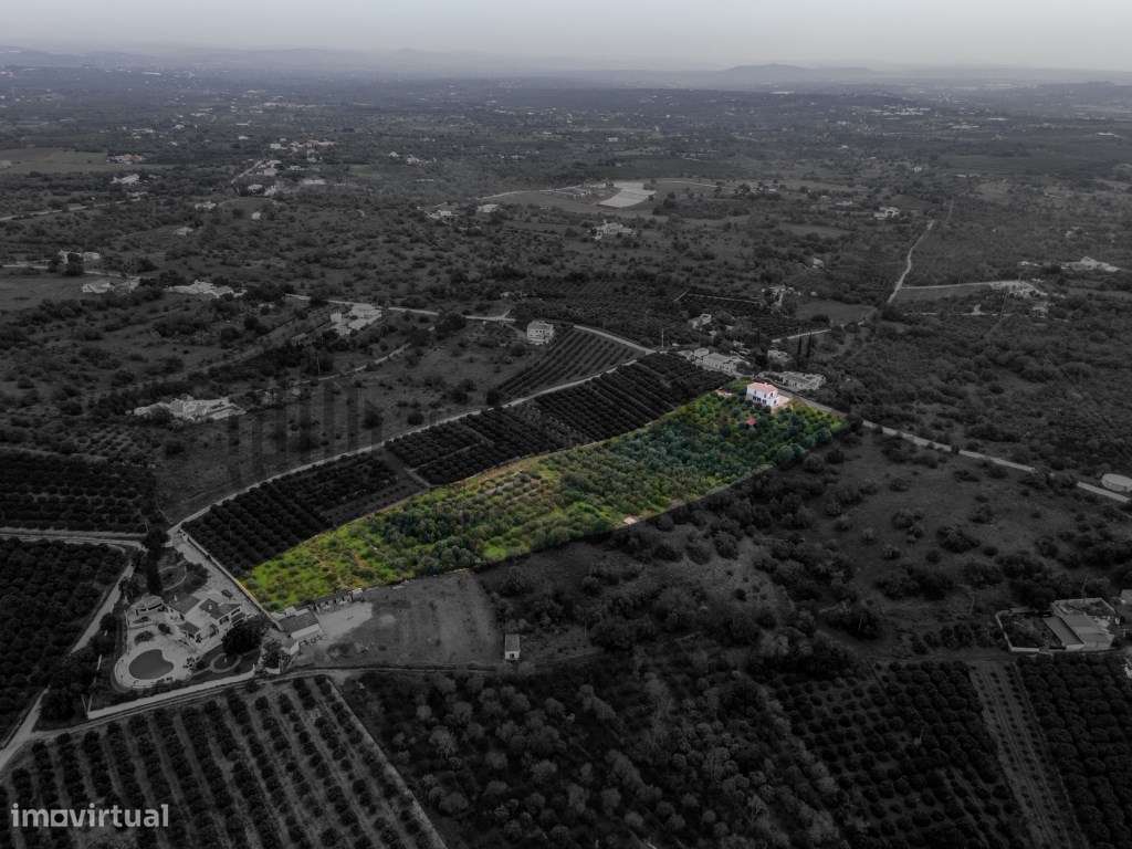 Moradia T3 com Pomar de citrinos no concelho de Silves - Grande imagem: 4/36