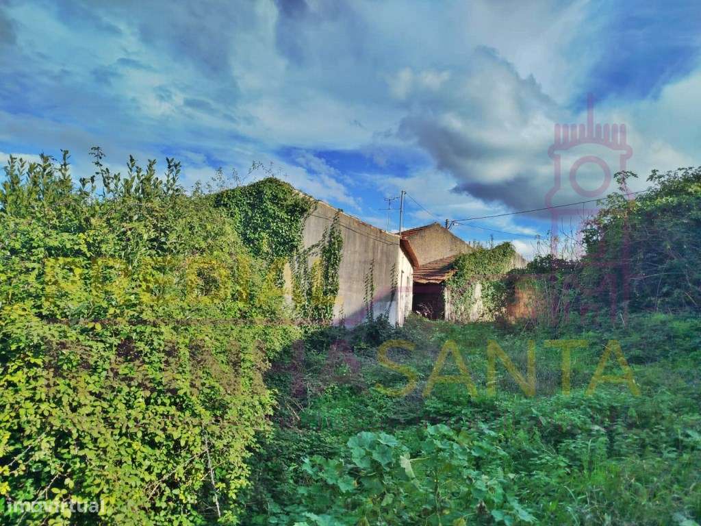 Casa de aldeia T2 Soure - Grande imagem: 5/10