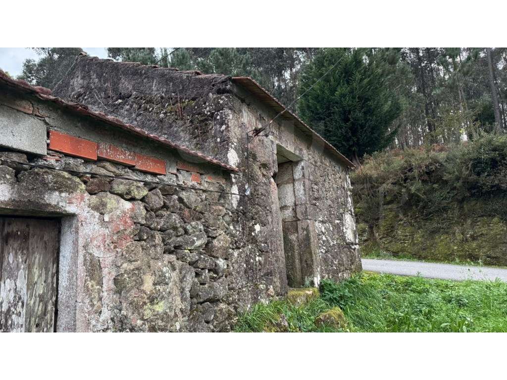 Moradia em ruína em S. Julião, Valença - Grande imagem: 4/14