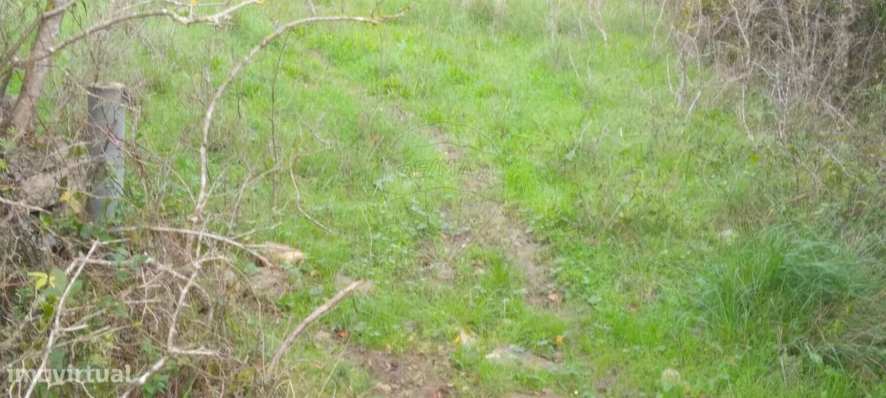 Terreno  para venda - Grande imagem: 4/11