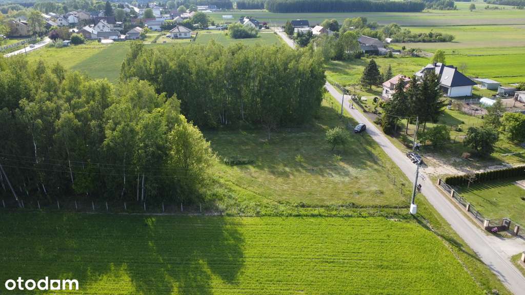 Na sprzedaż działka budowlana -Goździk, gm. Górzno - Pełny obrazek: 5/8