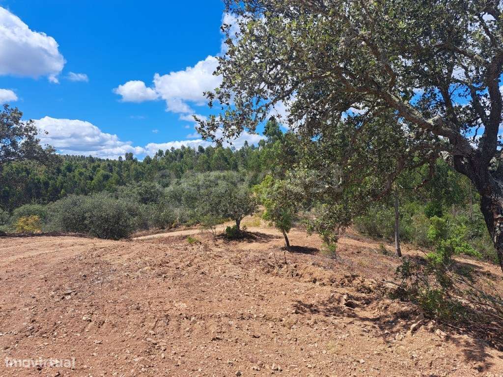 Maravilhoso Terreno Rústico envolvido num Mato de Sobreiros e fantá... - Grande imagem: 4/32