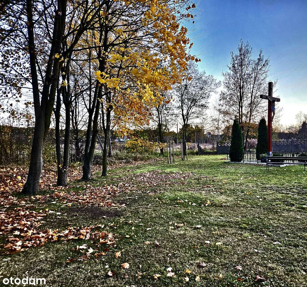 Działka 13 arowa - Stara Rudna.-5