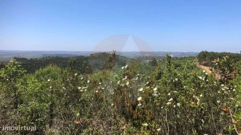 Terreno com potencial - Grande imagem: 4/5