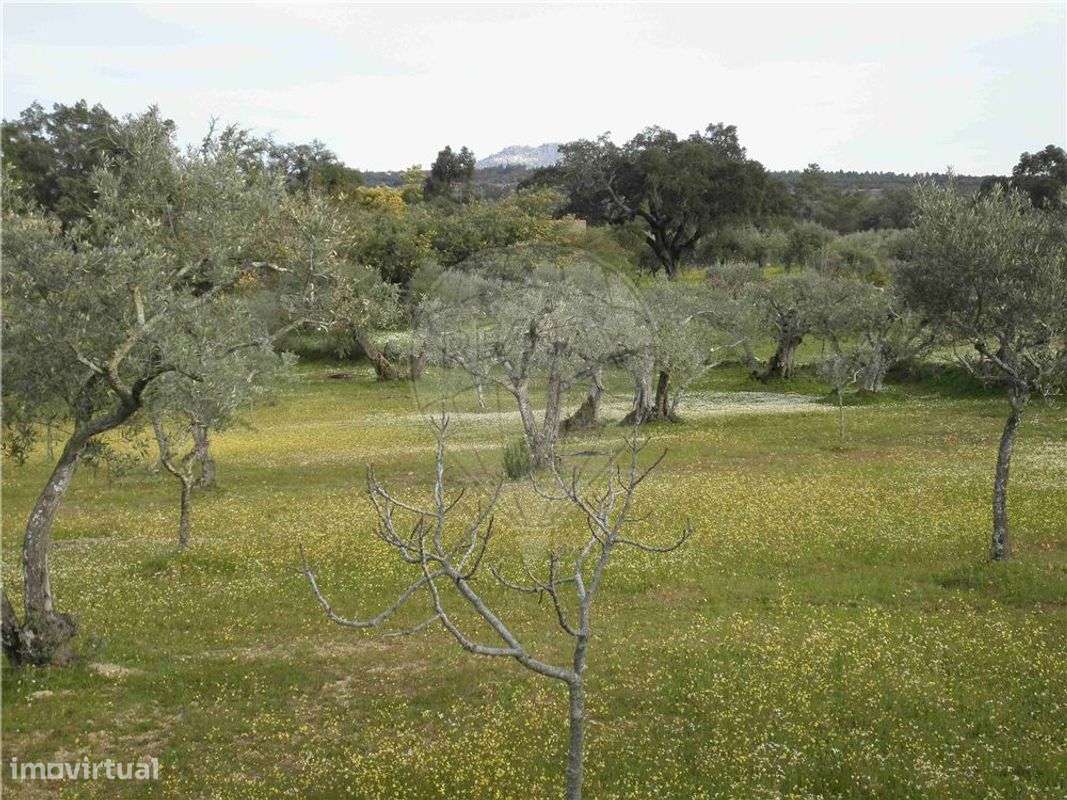 Quinta T0 para venda - Grande imagem: 3/23