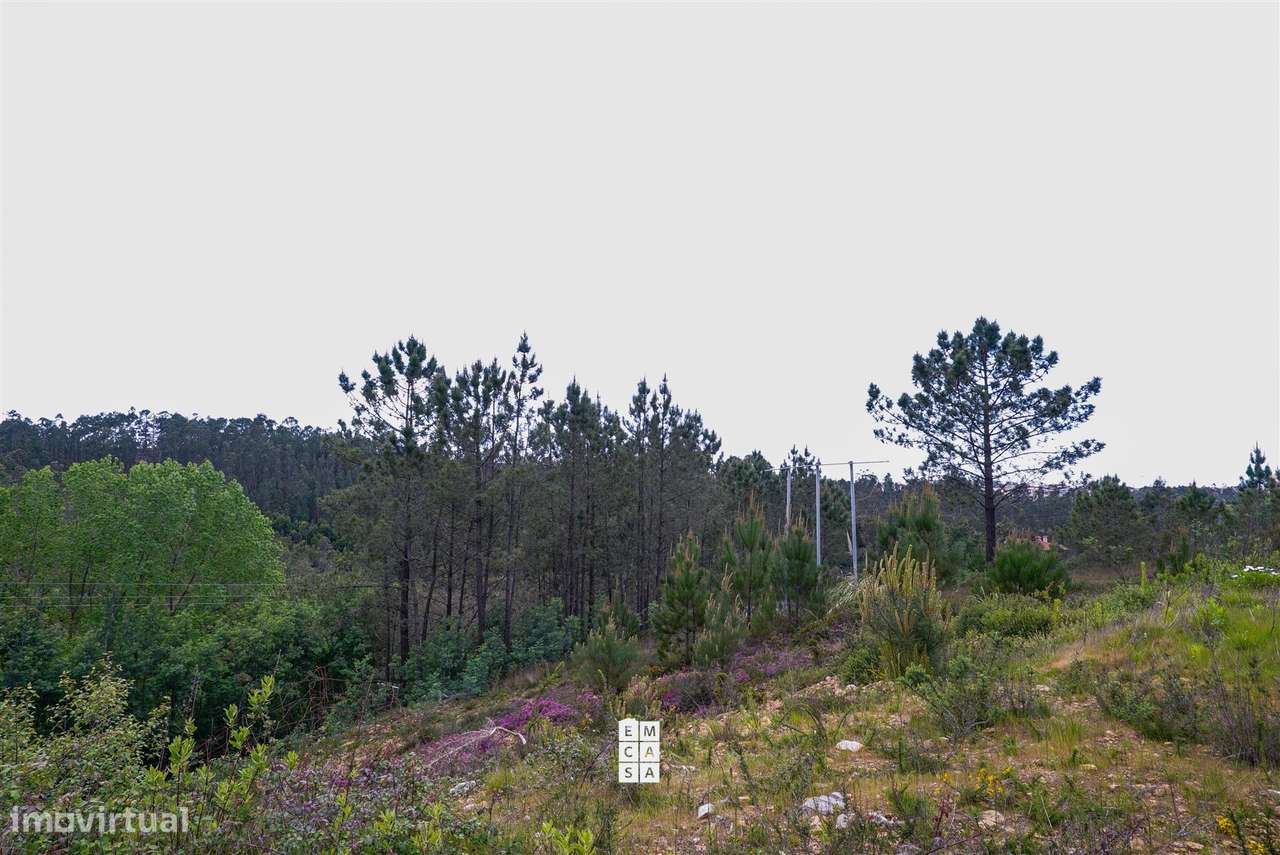 Terreno Urbano  Venda em Nogueira do Cravo e Pindelo,Oliveira de Azemé-3