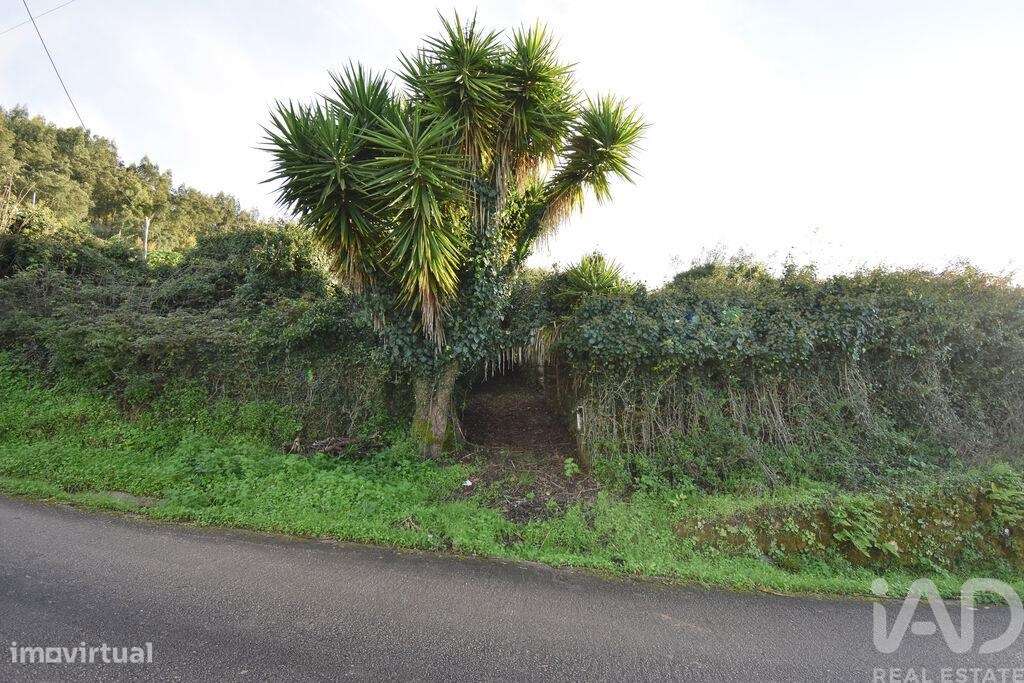 Casa / Villa em São Miguel, Santa Eufémia e Rabaçal de 300 m2 - Grande imagem: 4/33