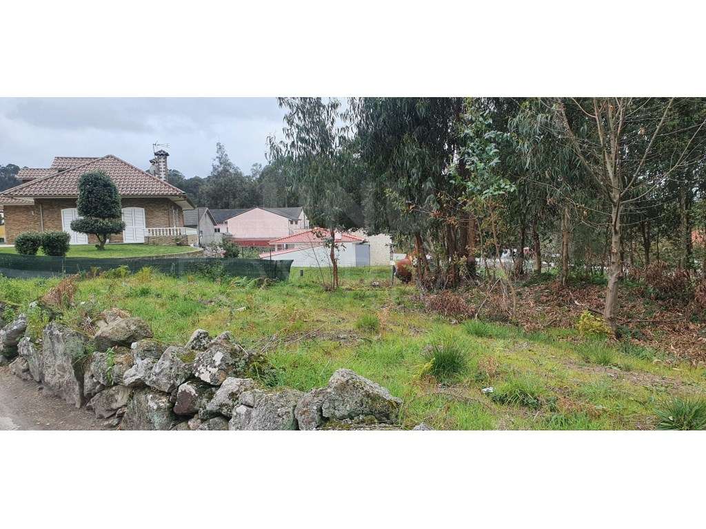 Lote na freguesia de Forjães - Esposende com 2000m2 de terreno. - Grande imagem: 2/6