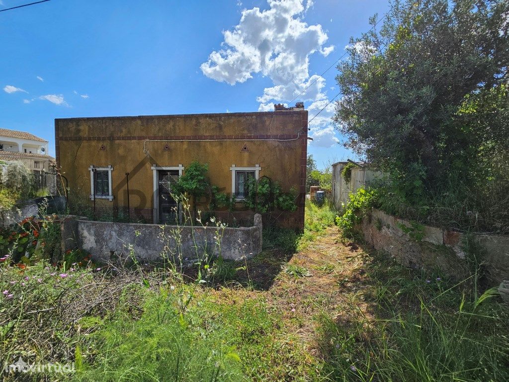 Casa com 6 divisões e anexos com terreno para recuperar