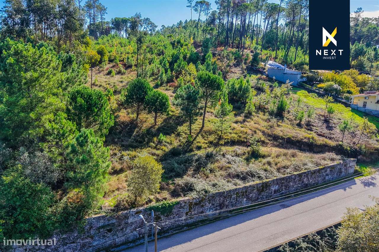 Terreno com vistas, a apenas 15 minutos de Viseu, e com todas as infra - Grande imagem: 4/16