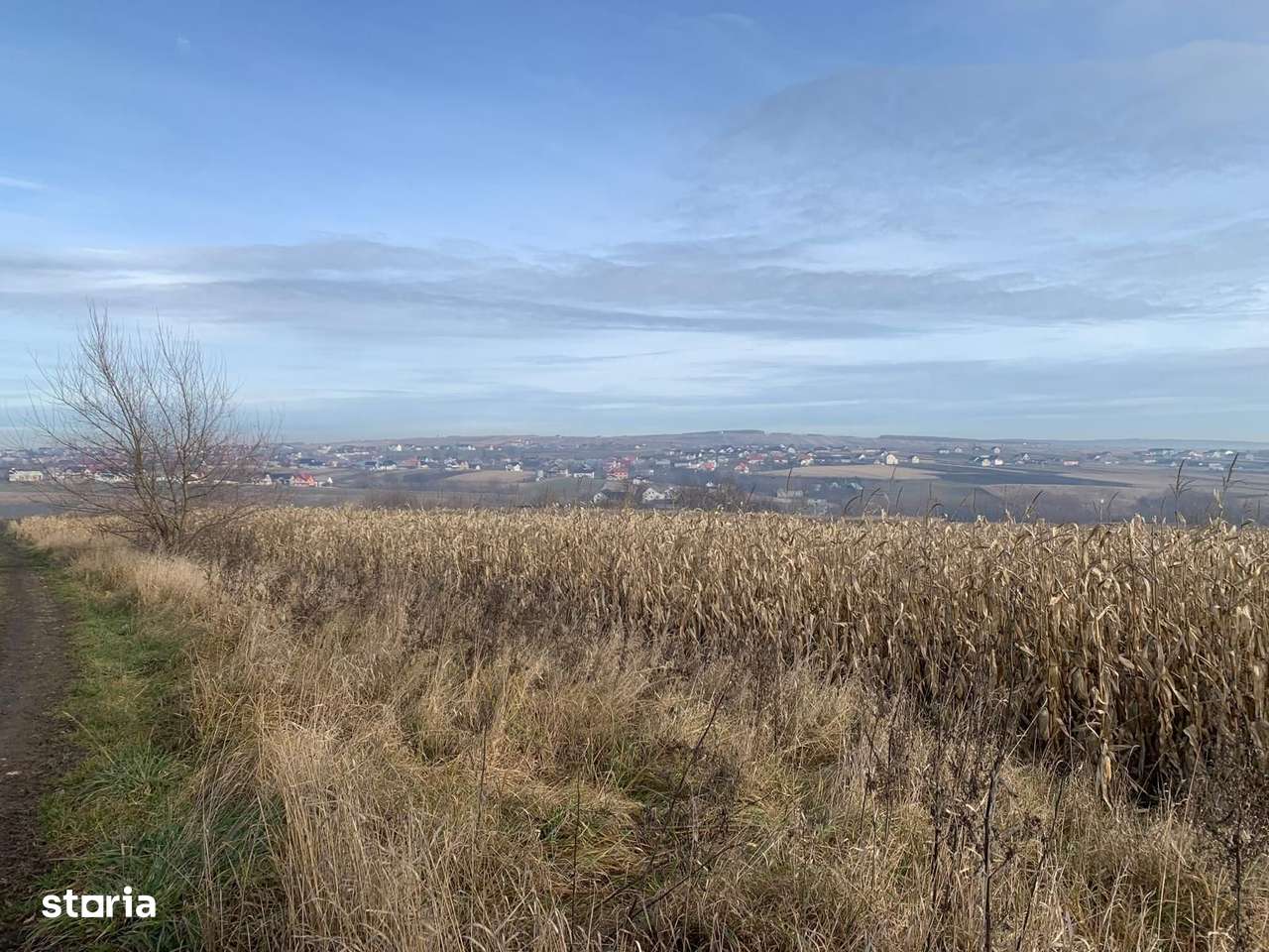 Teren intravilan de vânzare | Cajvana | 7.800 mp-2