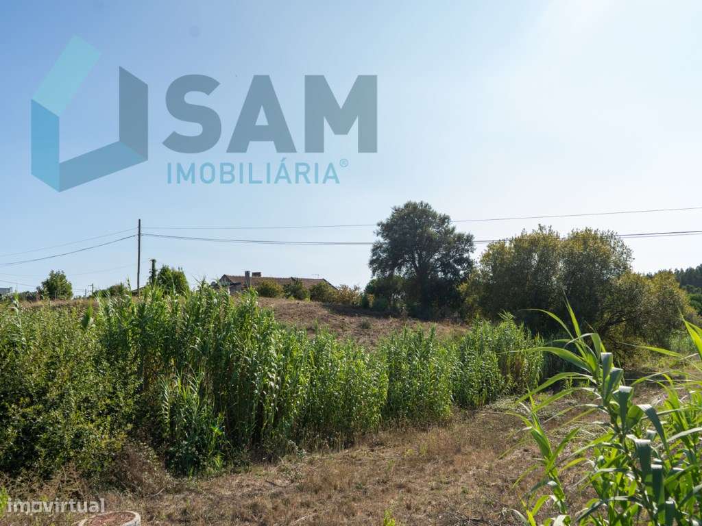 Moradia Térrea para Restauro | Terreno de malha urbana com 9.004 m²-44