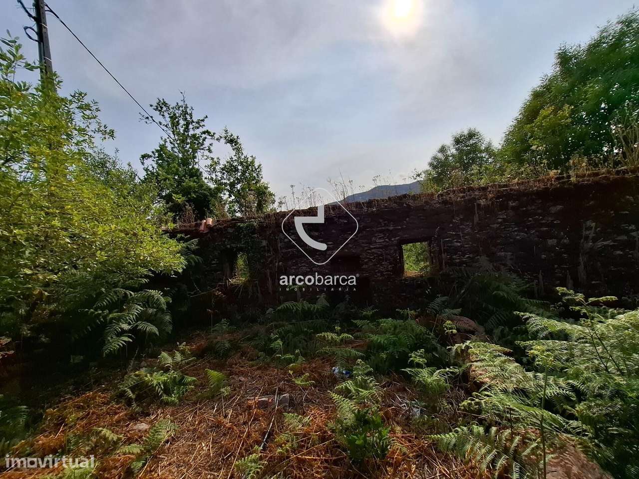 Quintinha ruinas p/restauro com 2520m2 - Moreira Lima - Ponte de Lima-19