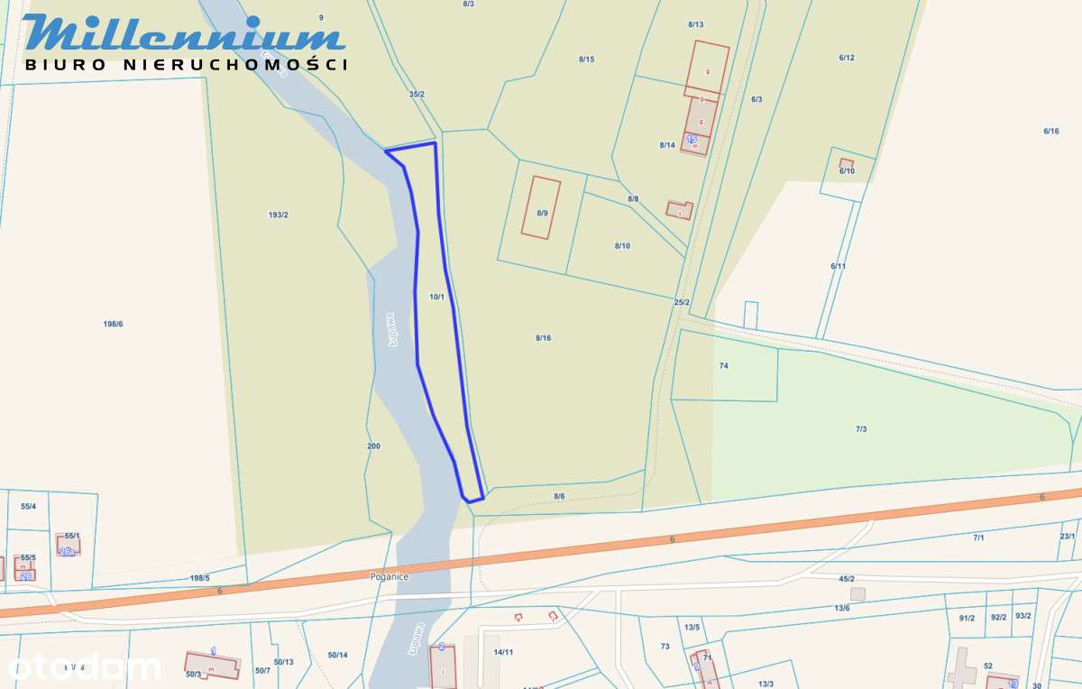 A może chcesz prowadzić spływy kajakowe?-5
