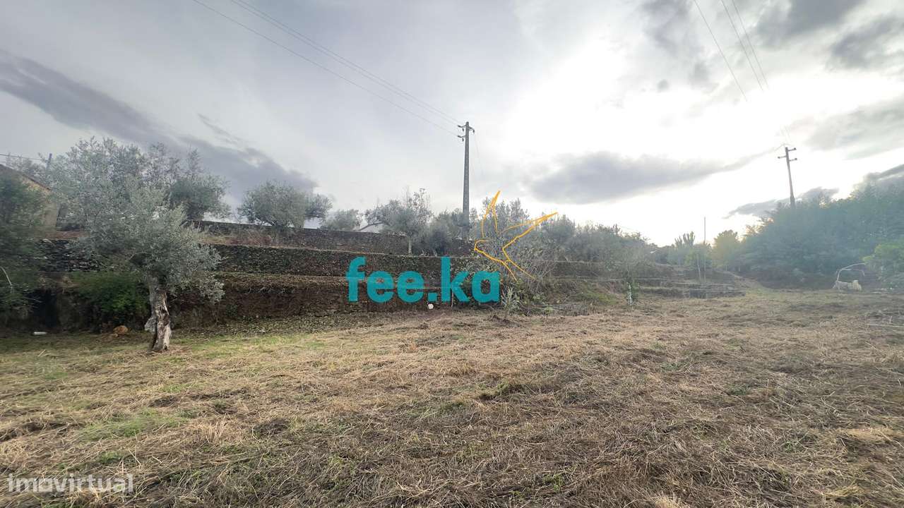 Quintinha - Grande imagem: 4/48