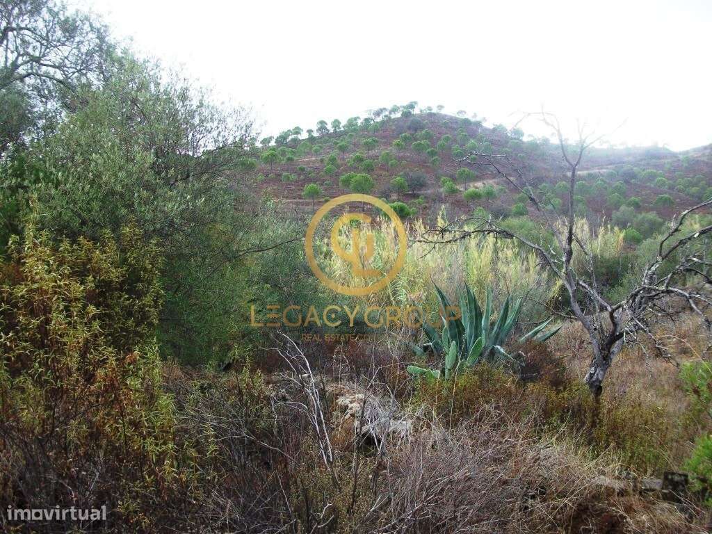 Terreno rústico no Barranco Maria Galega – Alcoutim-0