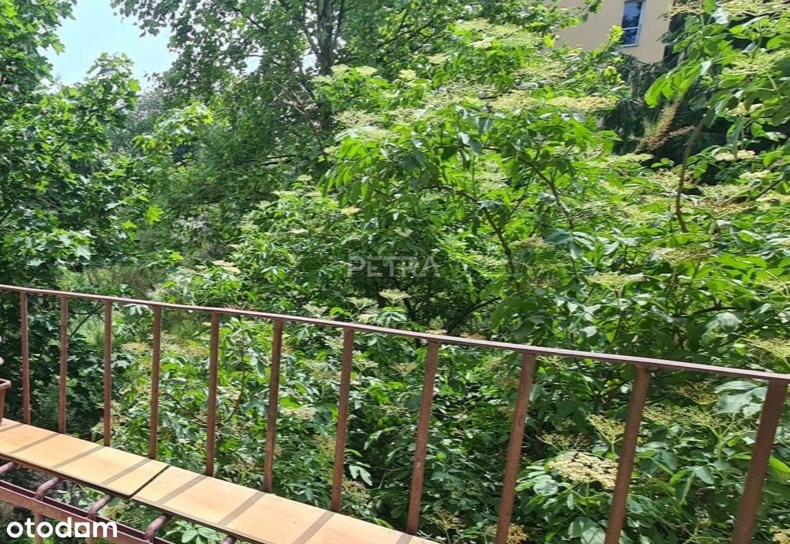 Po remoncie  2-3 pokojowe  przy Wum-15