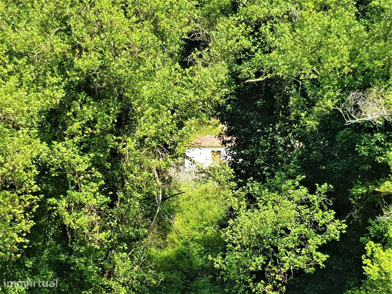 Terreno com ruinas em Marmelete-6