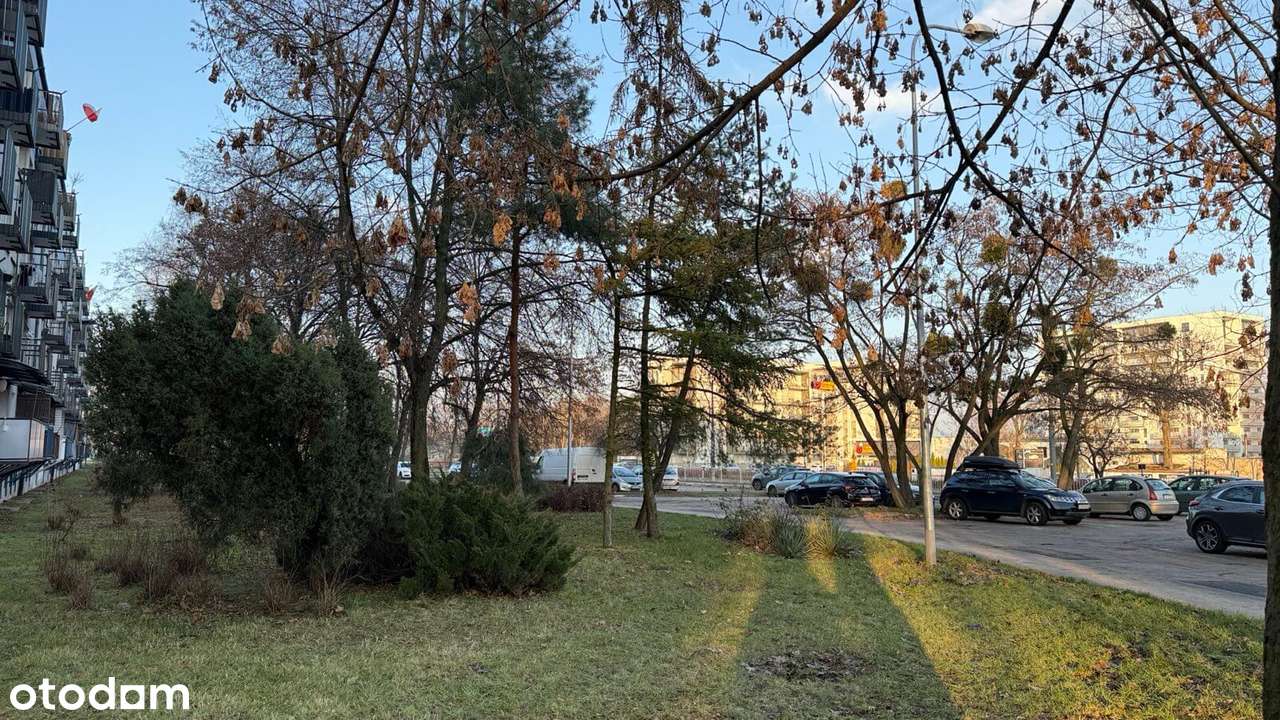 Przestronne mieszkanie z potencjałem - Poznań osiedle Kosmonautów-17