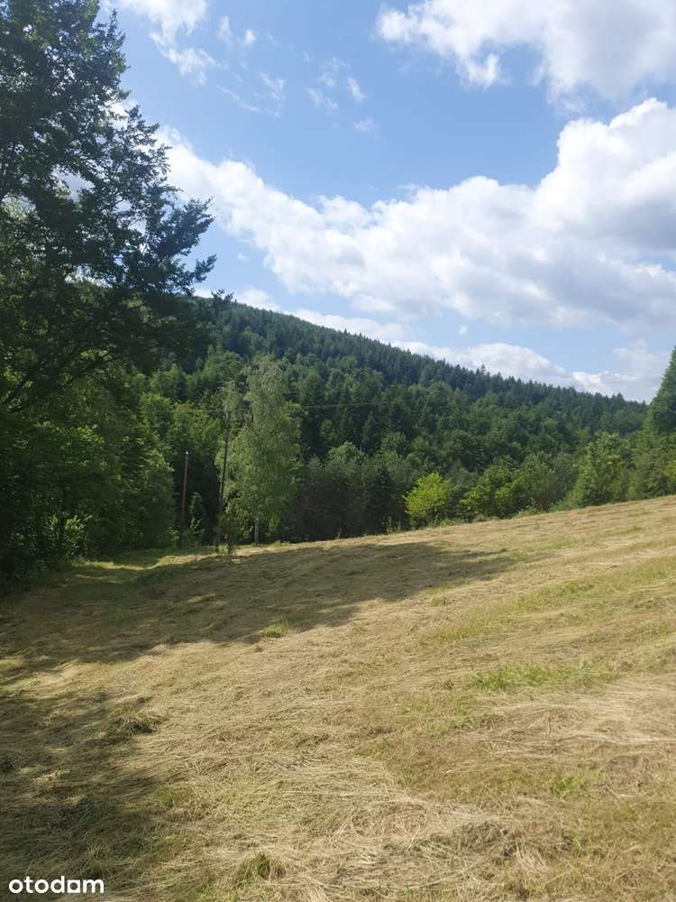 Działka budowlana 10,5 ara Żarnówka - Pełny obrazek: 4/10