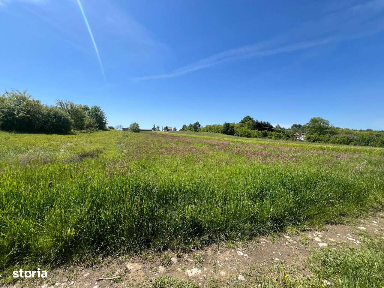 Lapusel - Teren intravilan, 41,46 ari (posibilitate de parcelare) - Imagine principală: 2/5