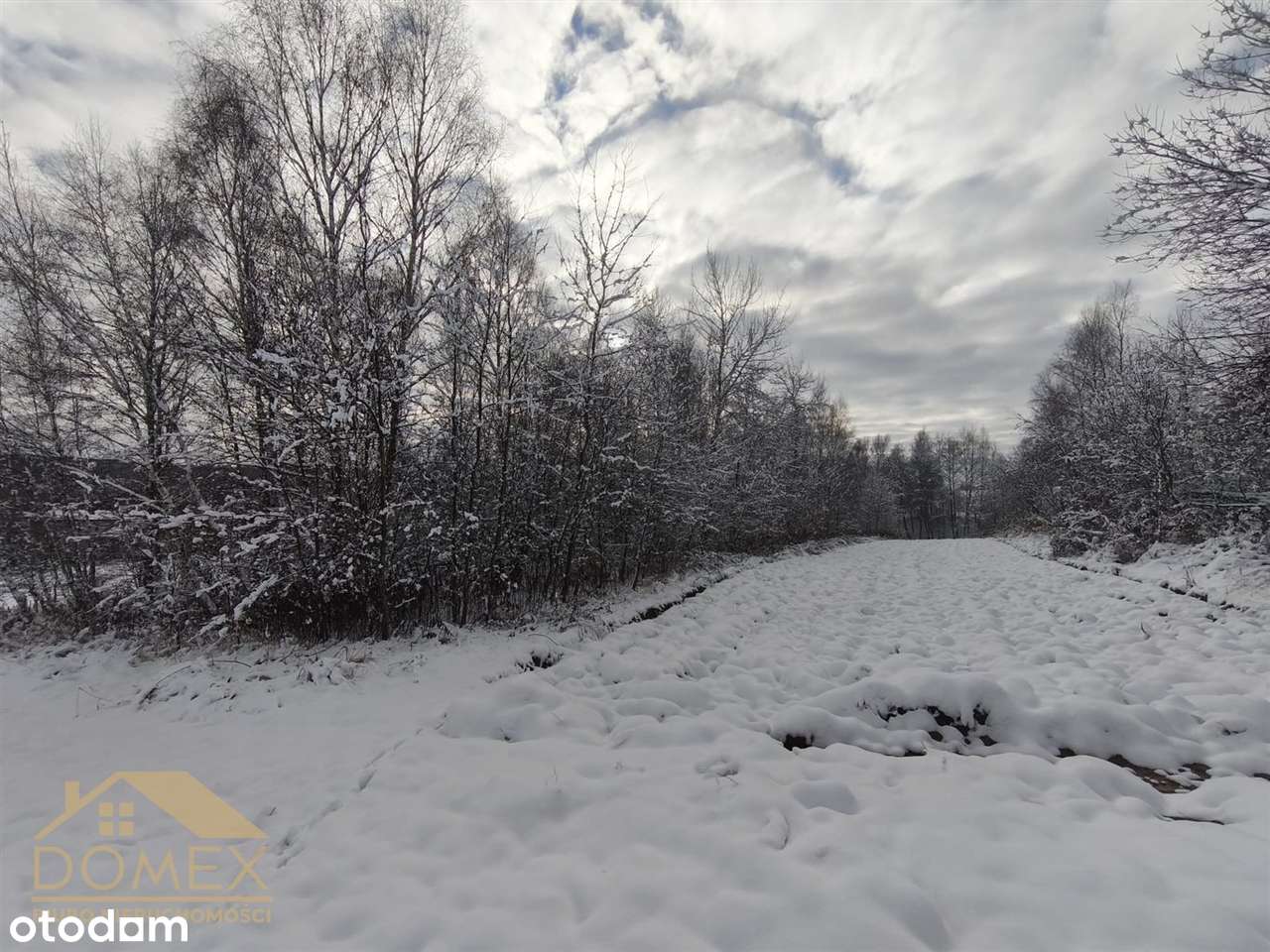 Duża działka w Radlinie – 3467m² - TOP-6