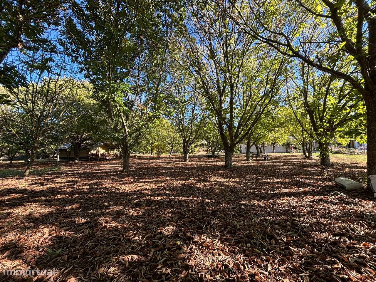 Quinta T5 Venda em Tourais e Lajes,Seia-23