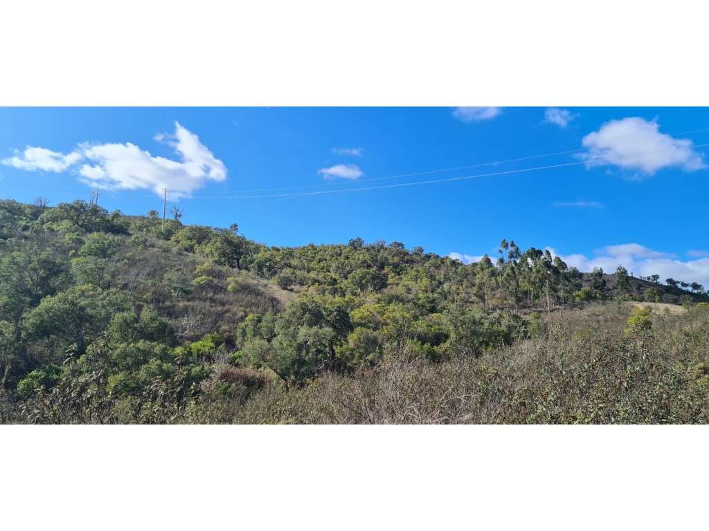 Monte Alentejano com projecto-11