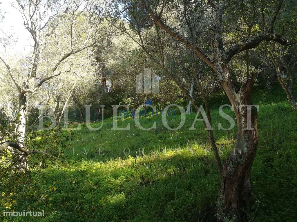 Terreno na Serra da Arrábida vista Lisboa com Viabilidade de Constr... - Grande imagem: 5/10