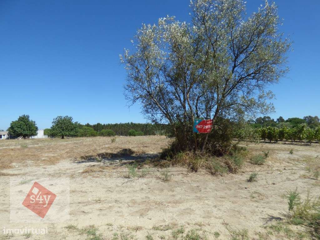 Terreno Foros do Trapo de 5.500m2! - Grande imagem: 5/5
