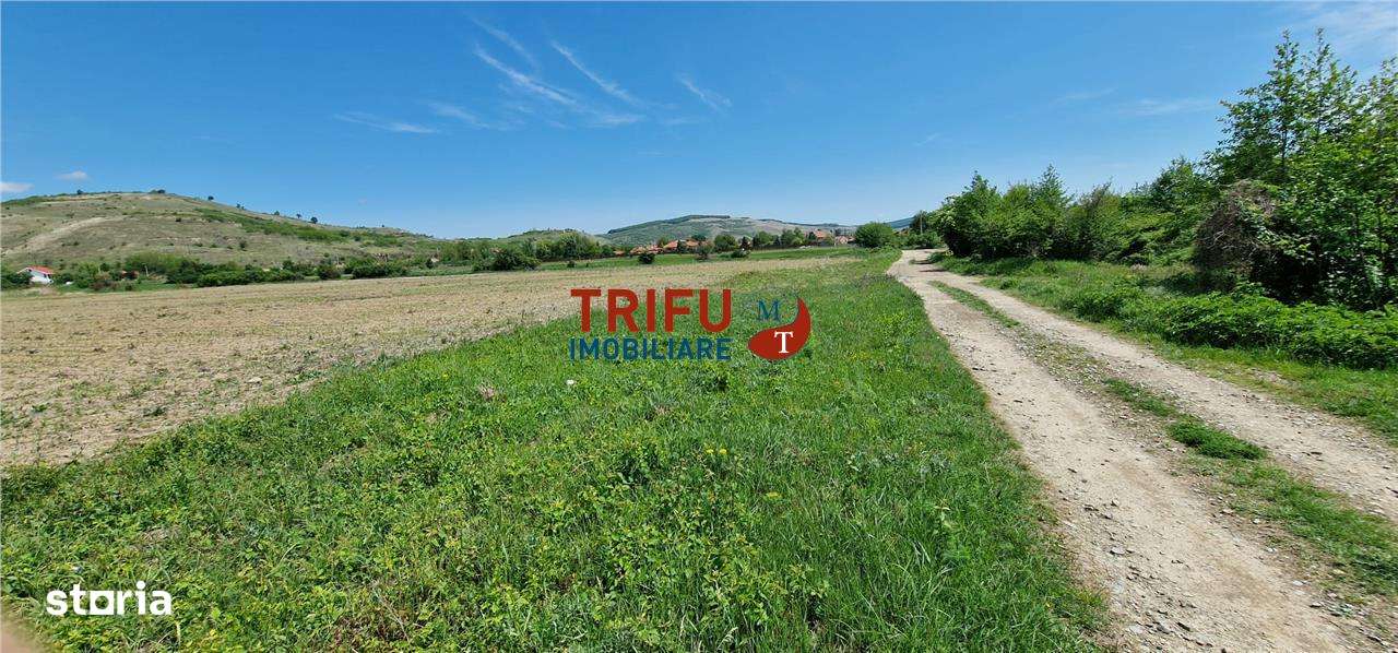 Teren intravilan in zona industriala13100 in Sard - Imagine principală: 5/8