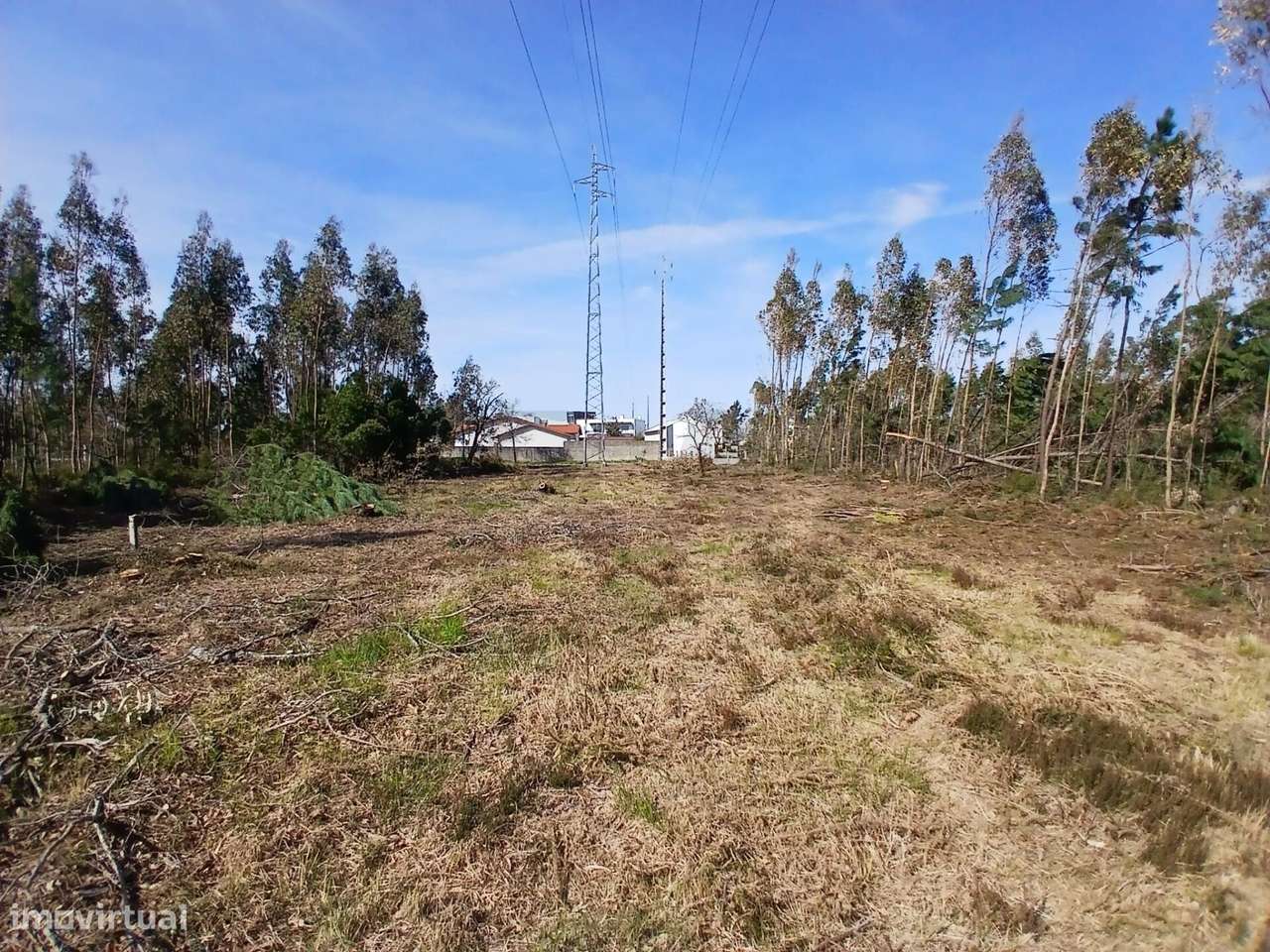 ​​​​​​​​​​​​​​Terreno com 6.970 m2 na Pedrulheira – Marinha Grande - Grande imagem: 5/19