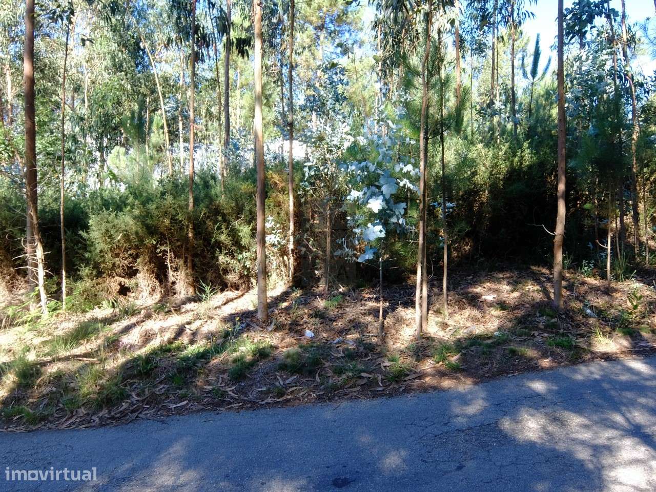 Terreno  Venda em Ossela,Oliveira de Azeméis - Grande imagem: 5/5