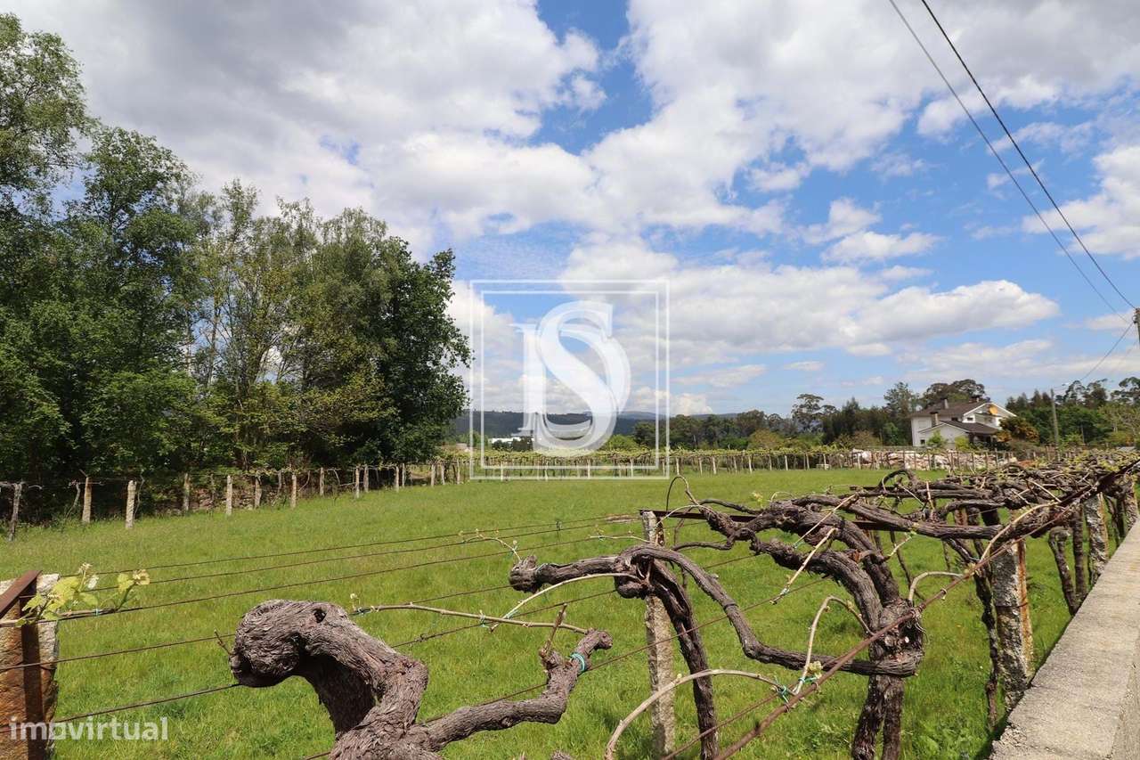 Quinta T3 em UDF de Prado e Remoães - Grande imagem: 2/30