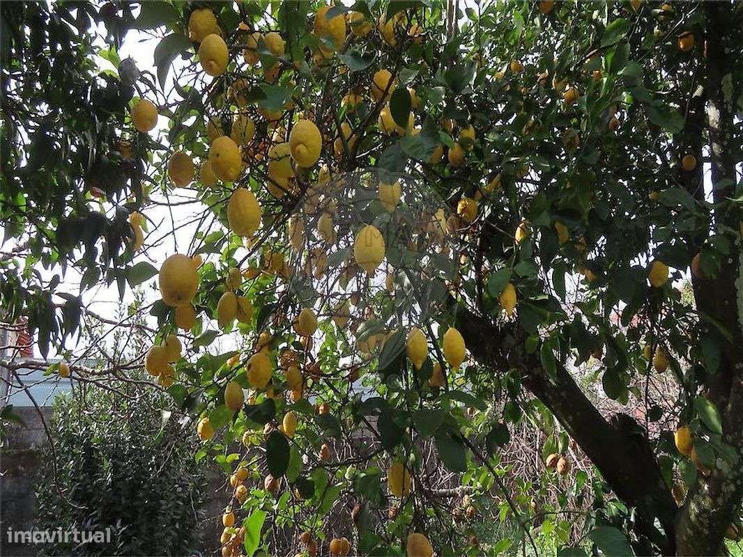 Moradia T2 para venda-29