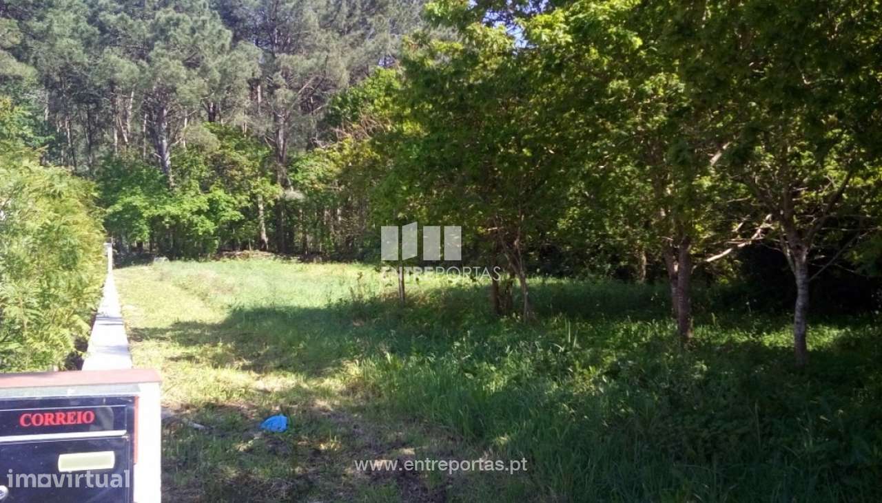 Venda de 3 Terrenos, Afife, Viana do Castelo - Grande imagem: 5/31